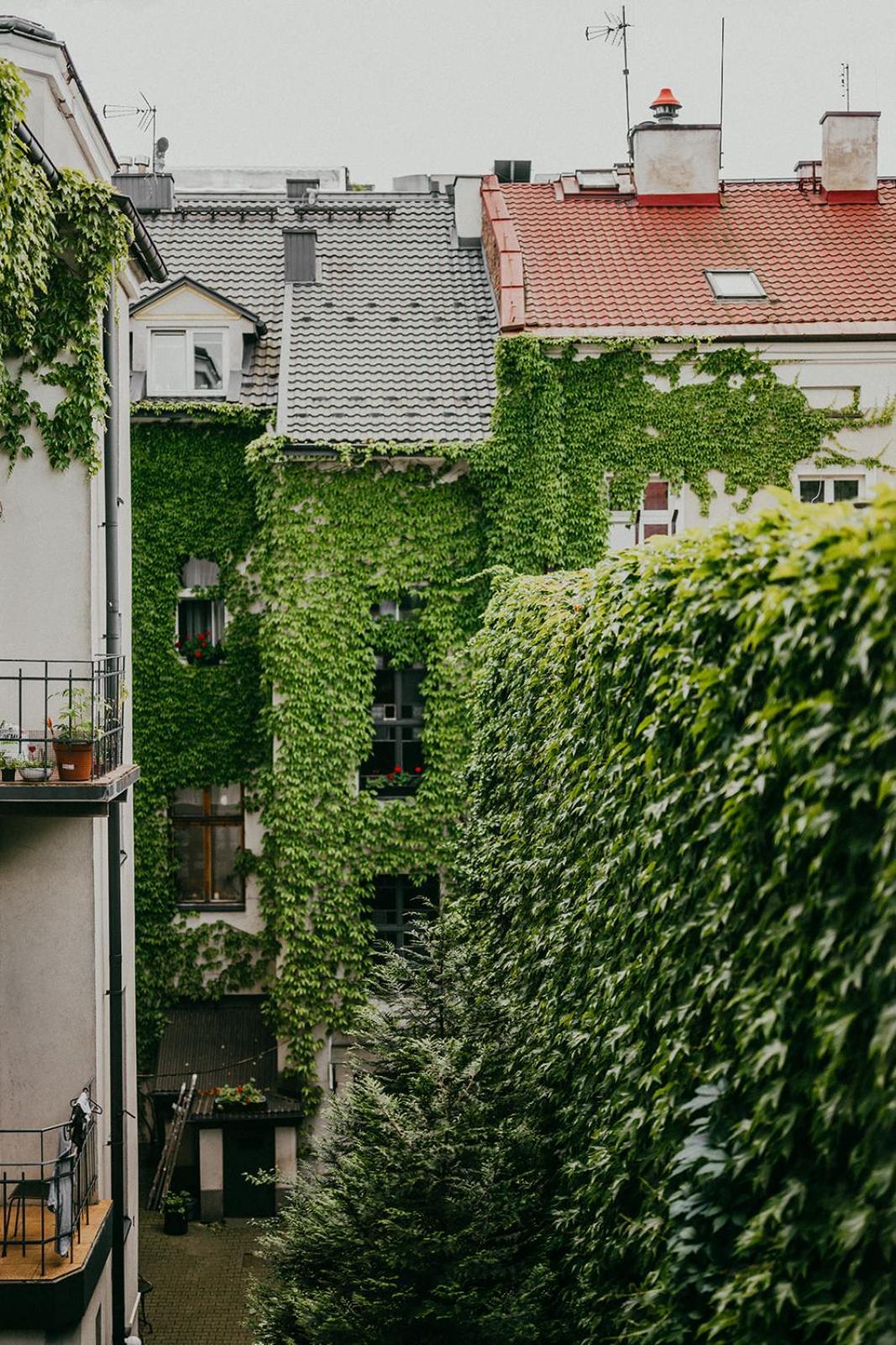 Antique Apartments Old Town Krakow Dış mekan fotoğraf